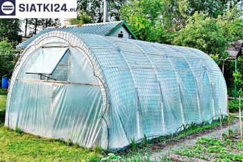 Siatki Chodzież - Odporna na wiatr folia ochronna dla upraw warzywnych w tunelach dla terenów Chodzieży